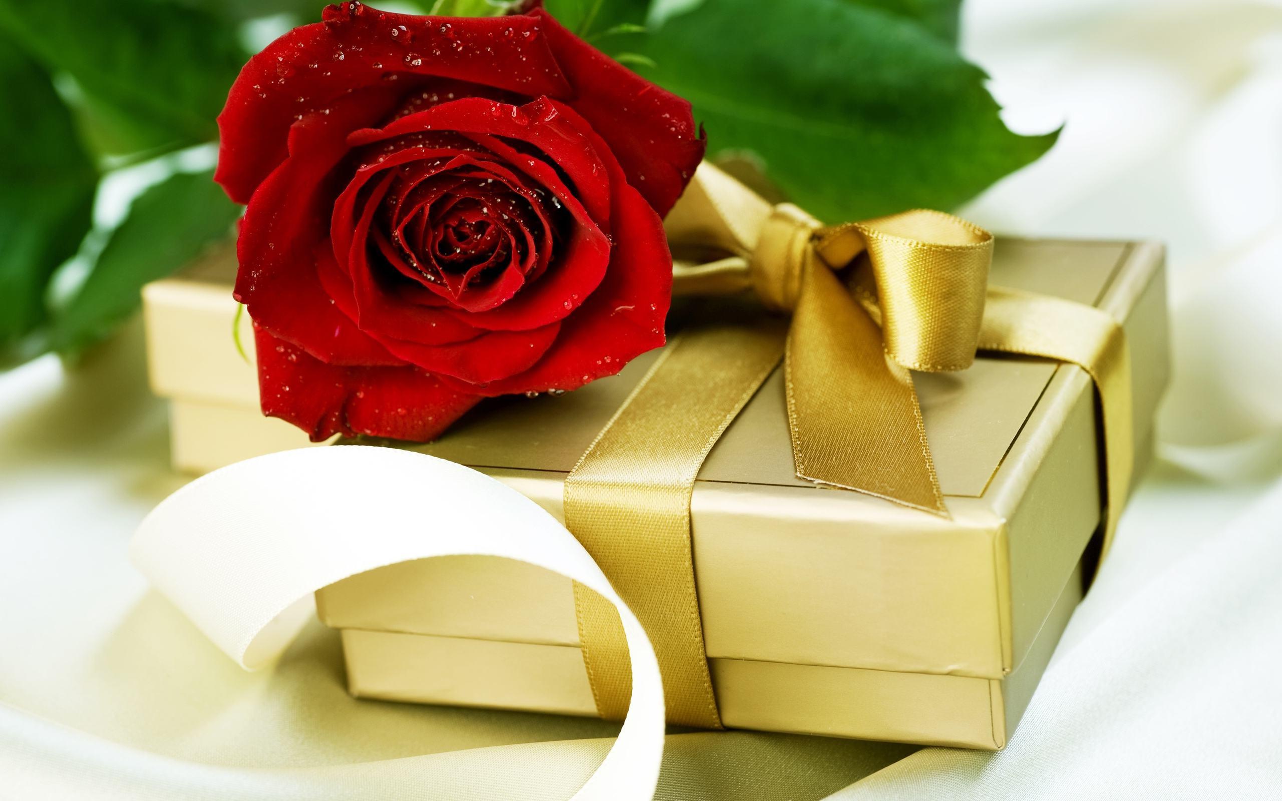 Anniversary Wishes Hd - HD Wallpaper 