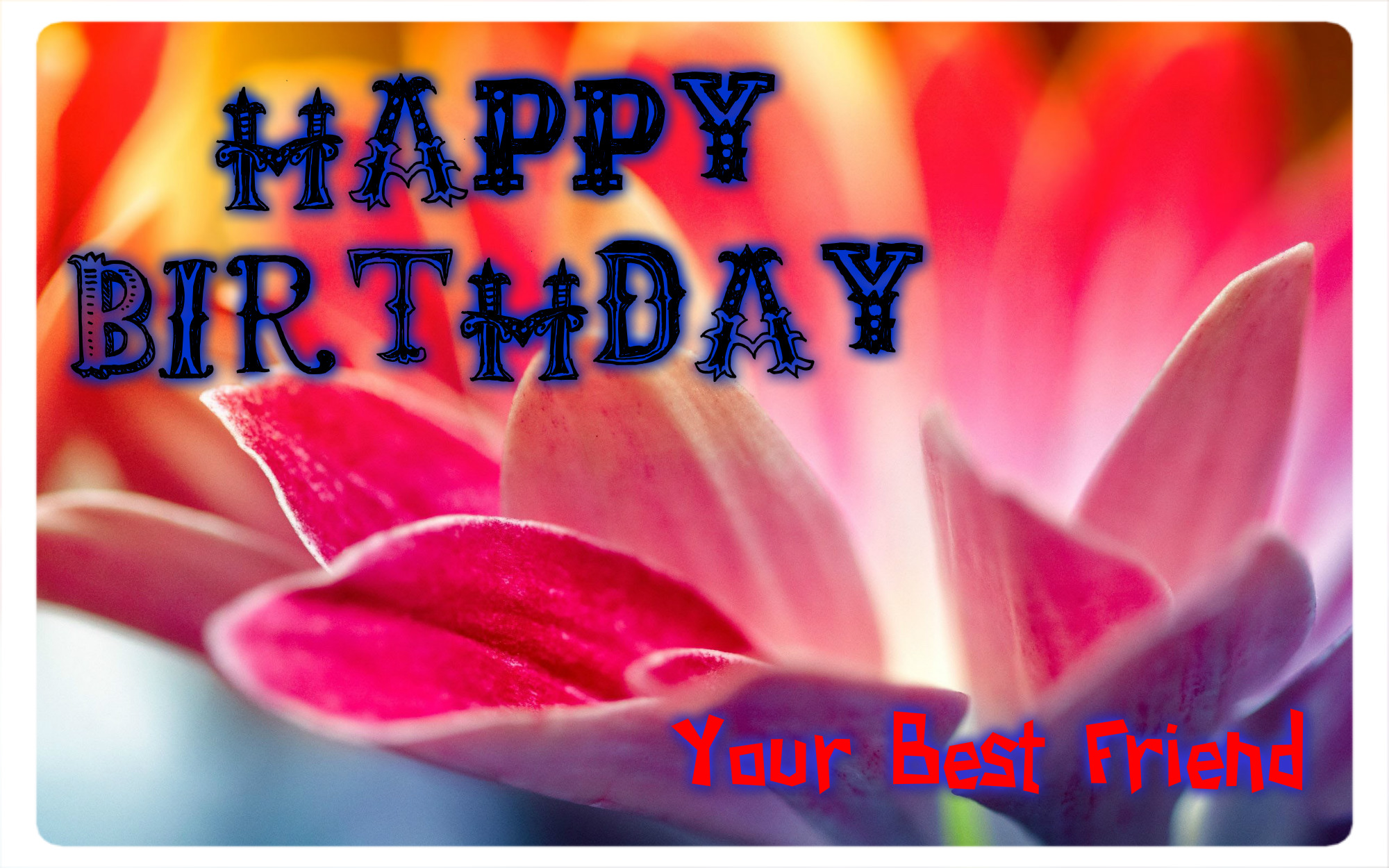 Happy Birthday Flowers , Wishes , Quotes And Hd Wallpapers - Tulip - HD Wallpaper 