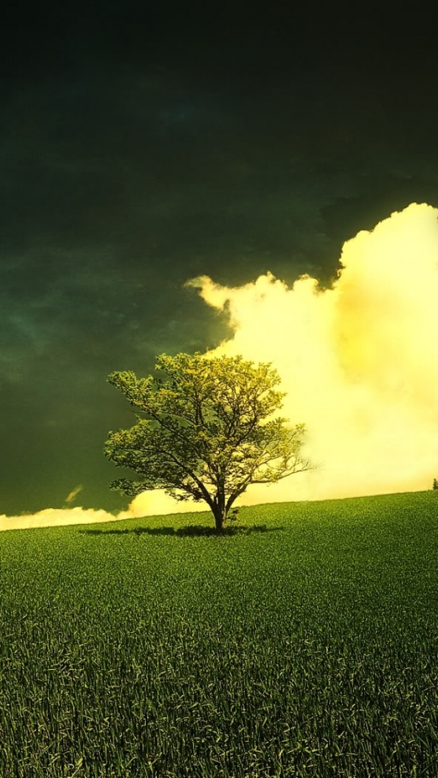 Spring Wallpaper Iphone 7 - HD Wallpaper 