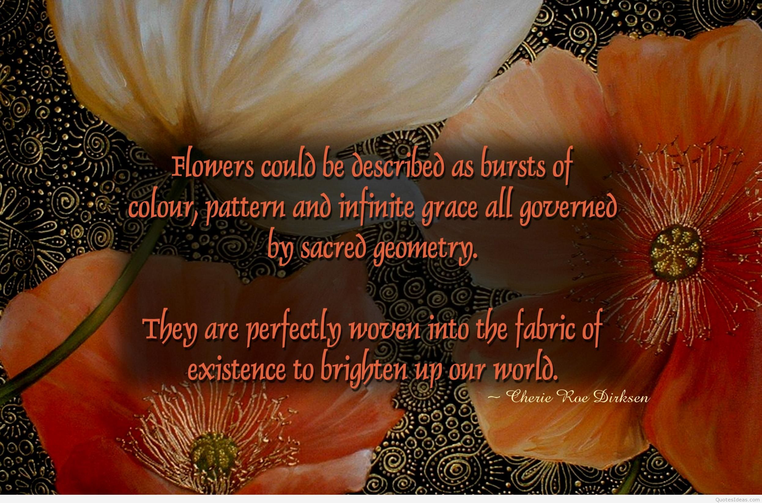 Flowerquote Protea 2491x1646 Wallpaper teahub.io