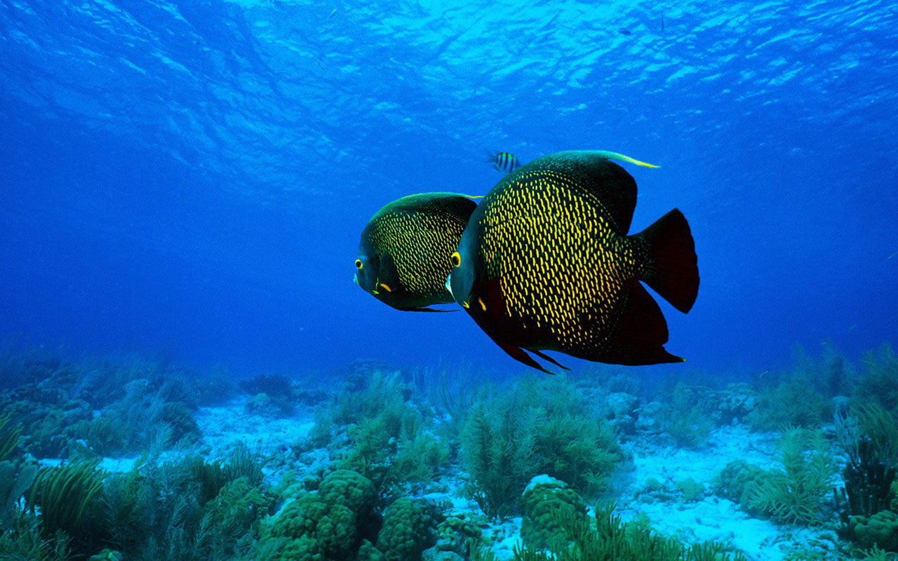 Win7 Wallpapers In Best Px Resolutions - Wallpaper - HD Wallpaper 