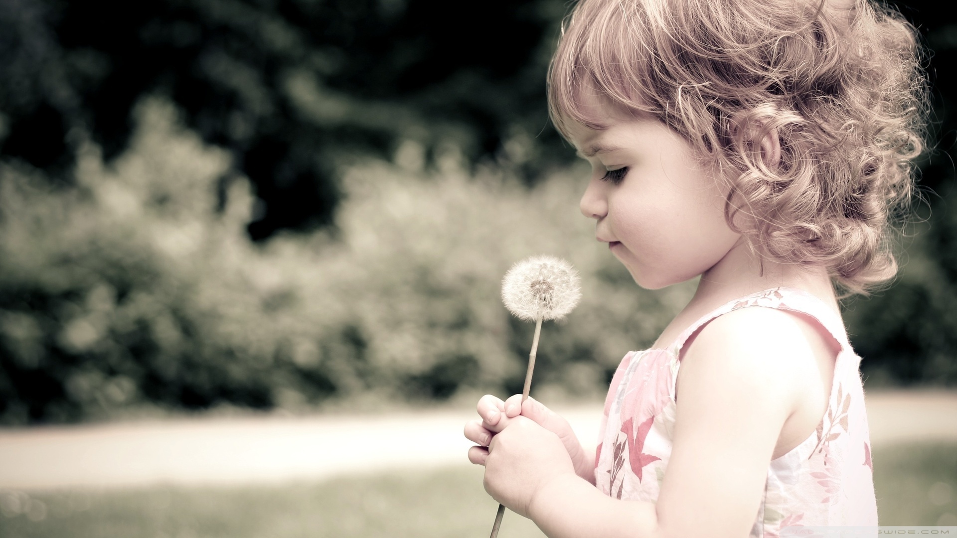 Nice Picture Of Baby - HD Wallpaper 