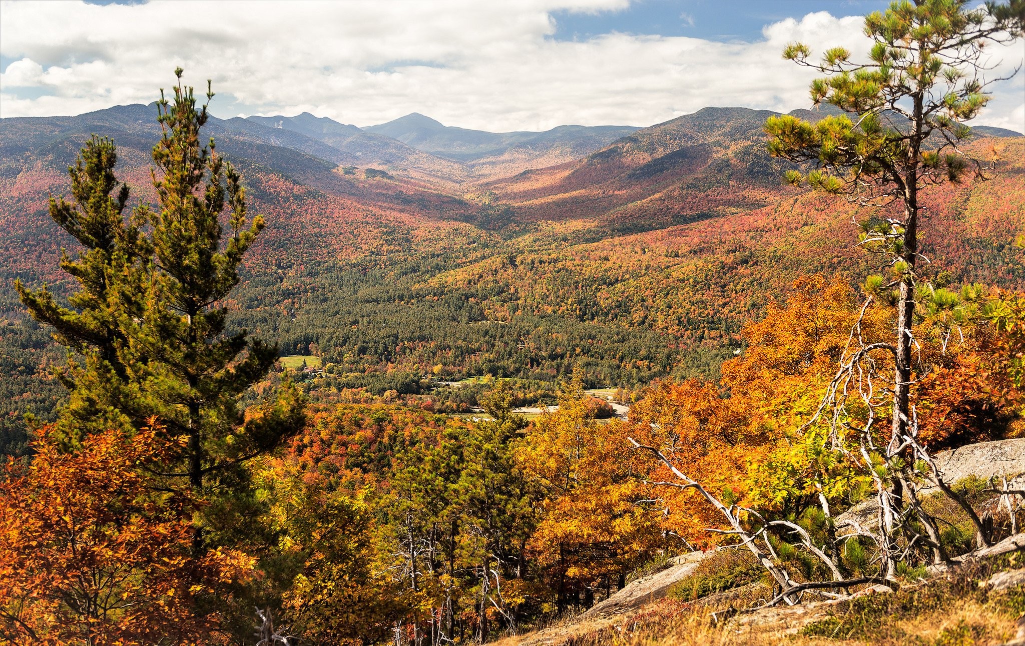 Windowsmobile Wallpaper, Mountain, Nature, Apple,mountains, - Shortleaf Black Spruce - HD Wallpaper 