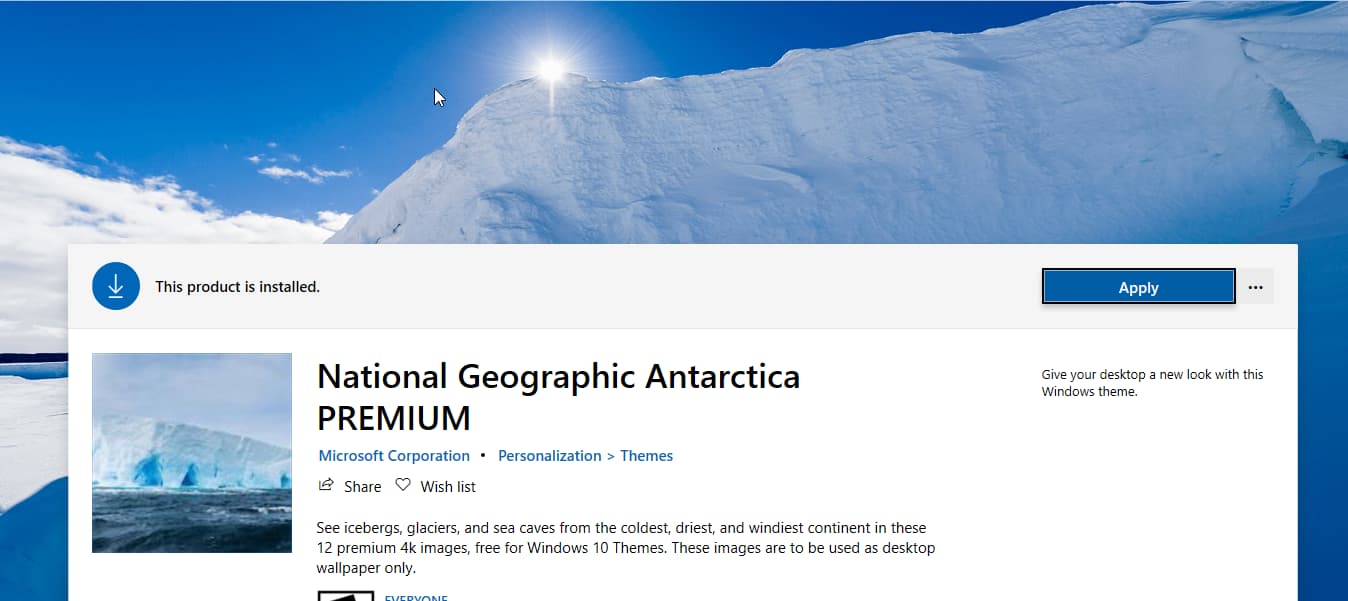 National Geographic Antarctica Premium 4k Theme Windows - Snow - HD Wallpaper 