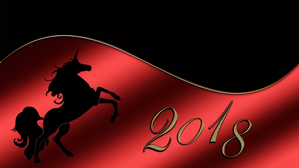 Stallion - HD Wallpaper 