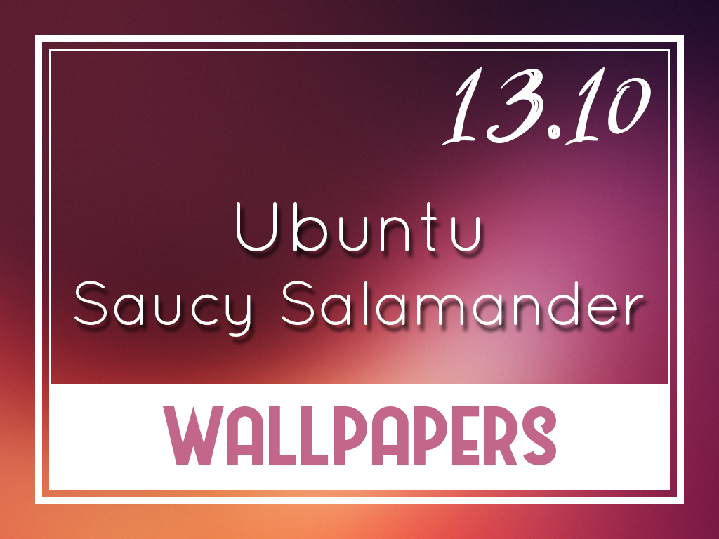 10 Saucy Salamander Default Wallpapers - Calligraphy - HD Wallpaper 