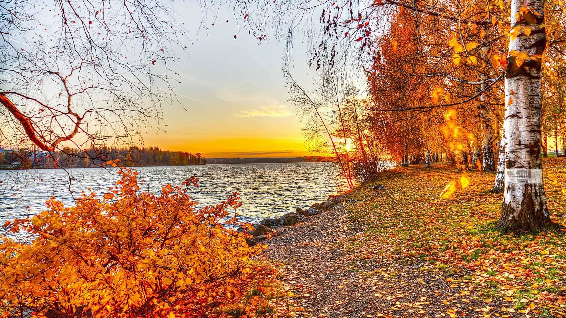 Autumn Landscape Background - HD Wallpaper 