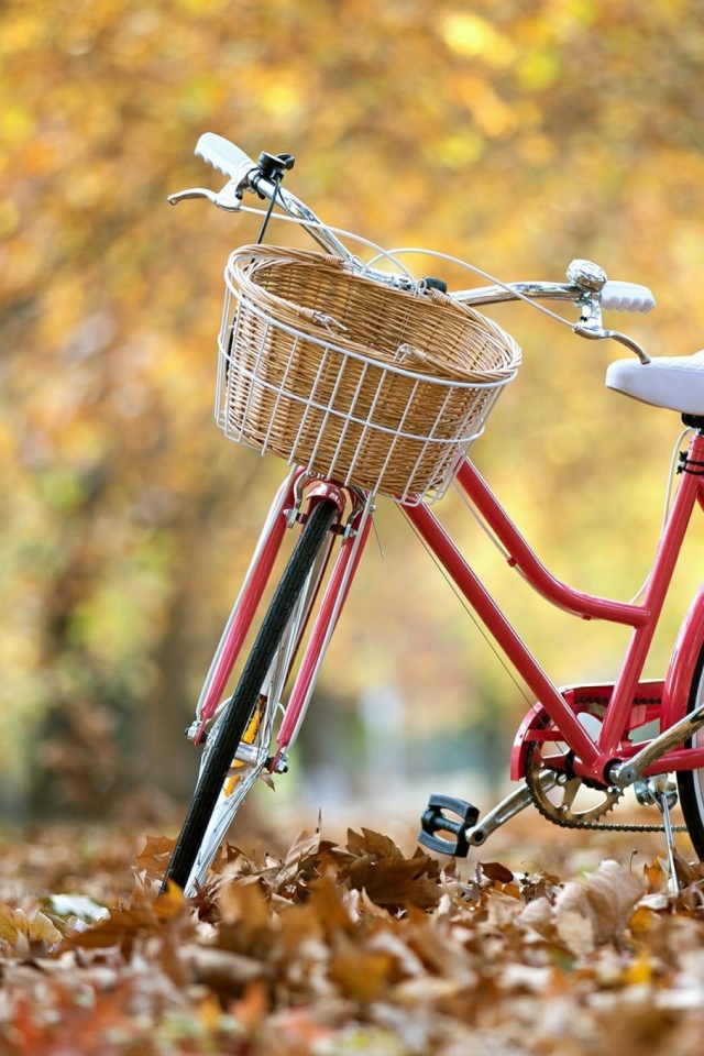 Latest Wallpaper For Android - HD Wallpaper 