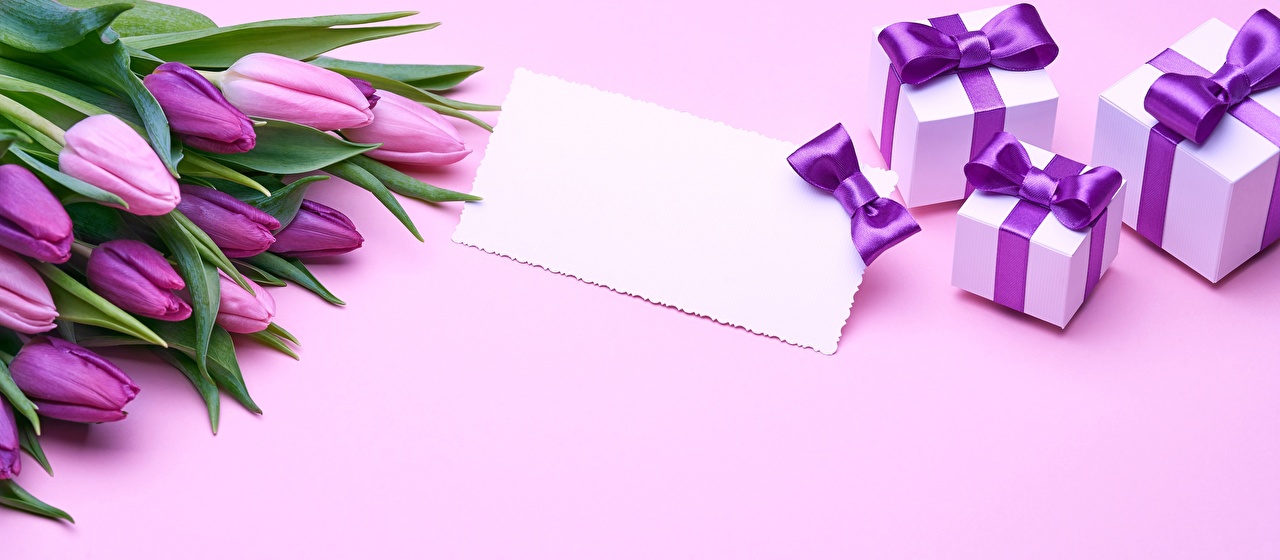 Fondo Tarjeta Flores Regalos - HD Wallpaper 