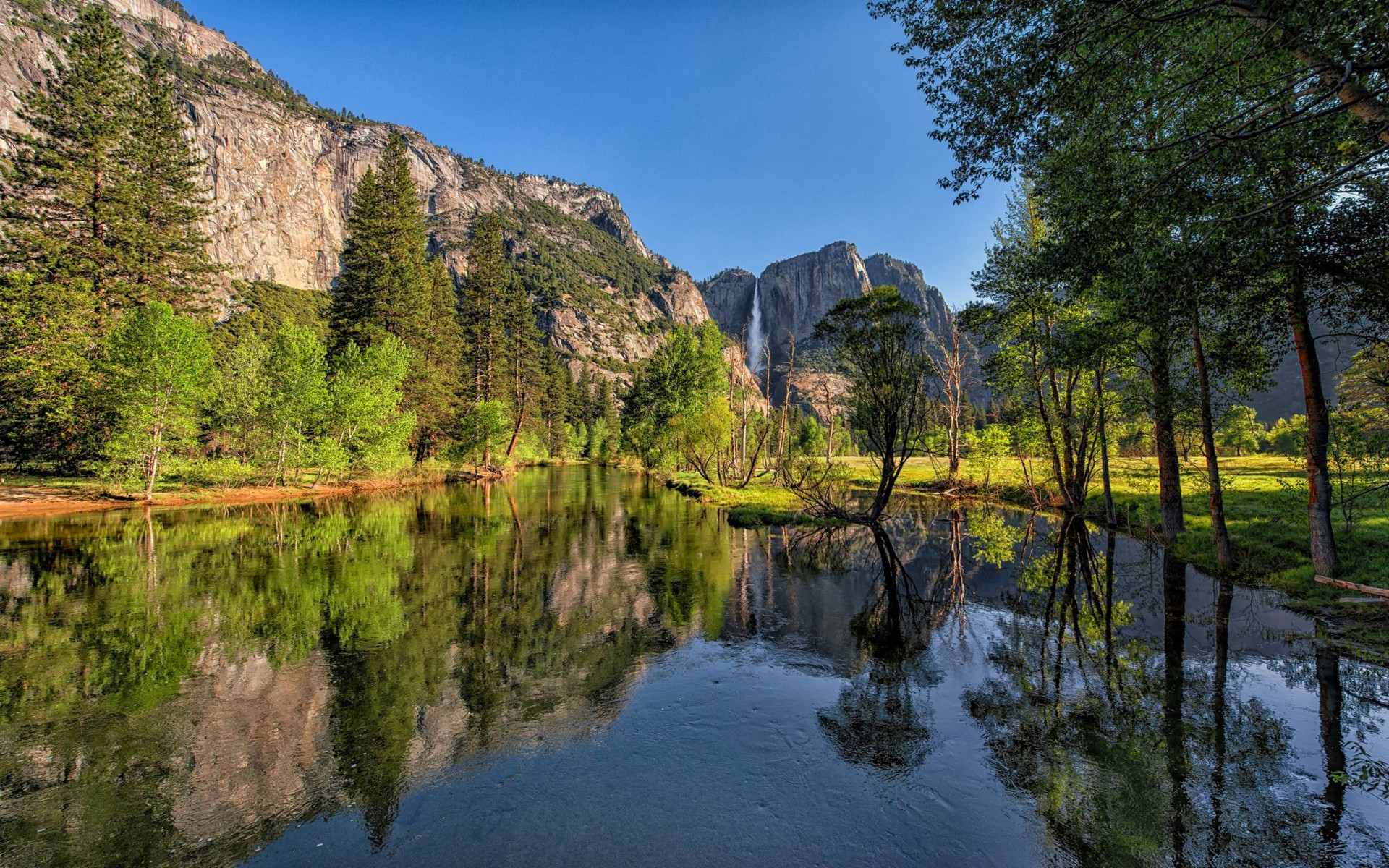 Forest Wallpaper For Mac - HD Wallpaper 