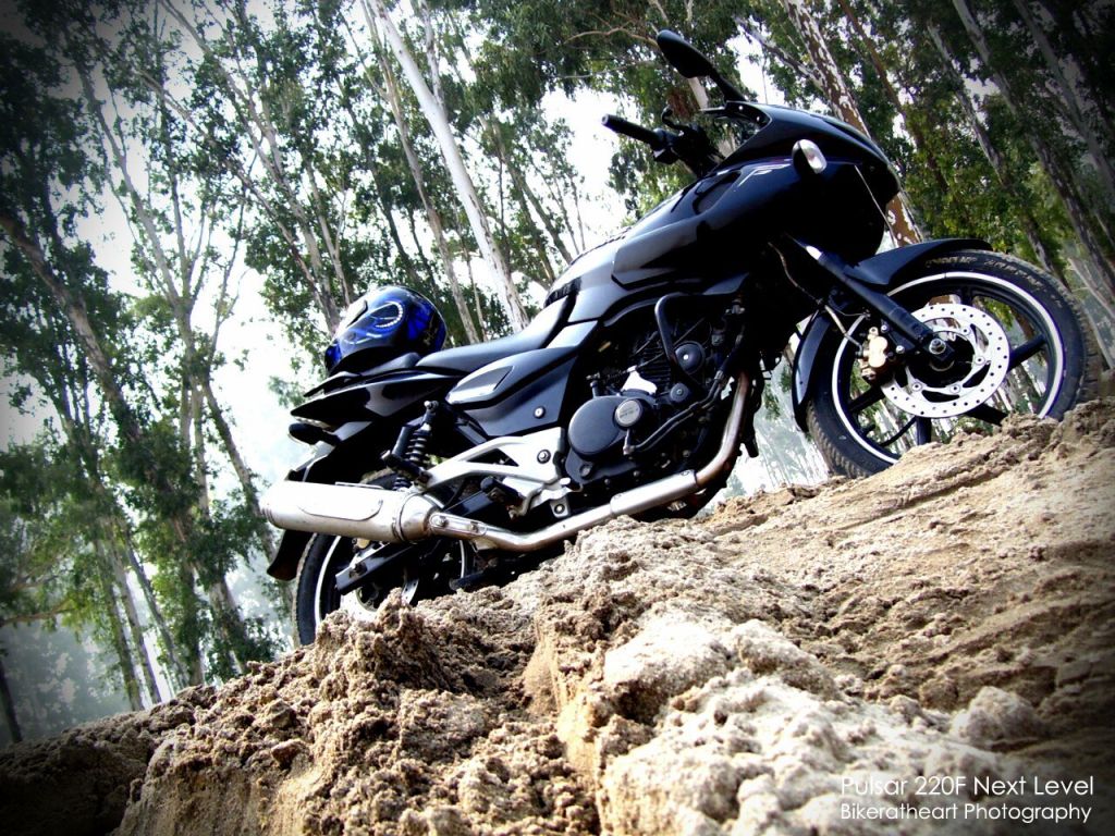 Bajaj Pulsar 220 Wallpaper - 220 Pulsar Bike Rider - 1024x768 Wallpaper -  