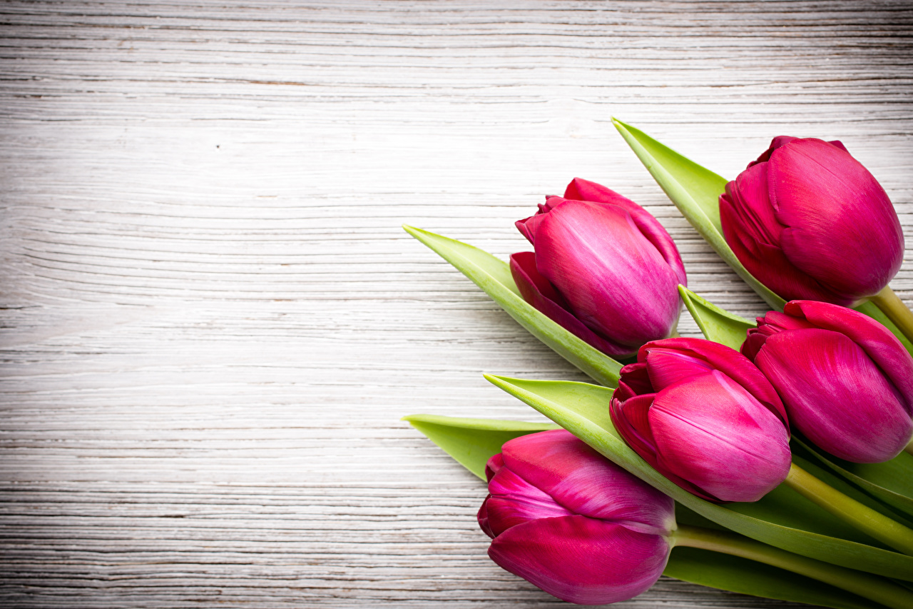 Happy Spring Facebook Cover - HD Wallpaper 