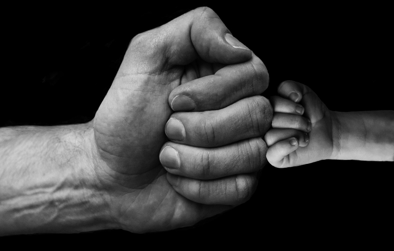 Photo Wallpaper Hands, Fists, Baby, Son, Dad, Greeting - Руки Папы И Сына - HD Wallpaper 