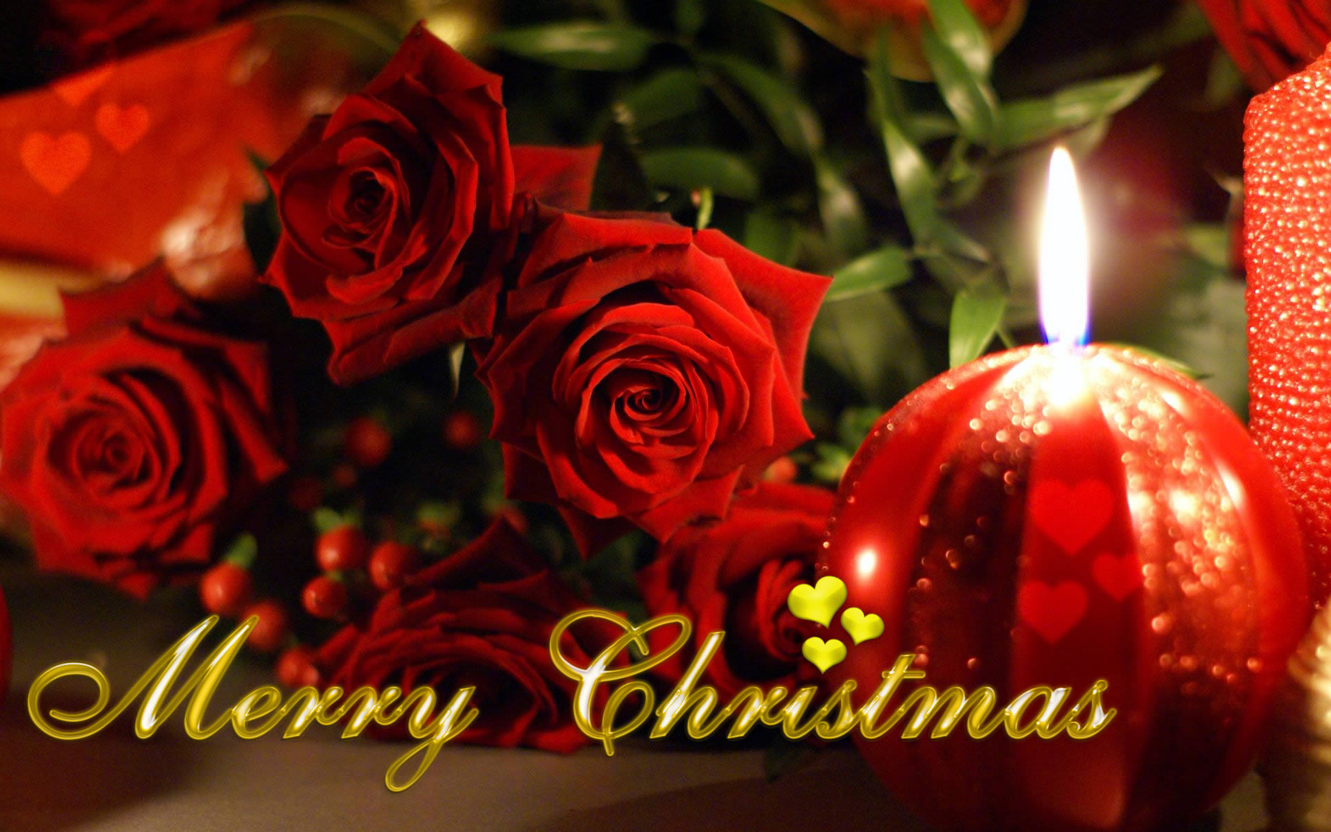 Merry Christmas With Rose - HD Wallpaper 