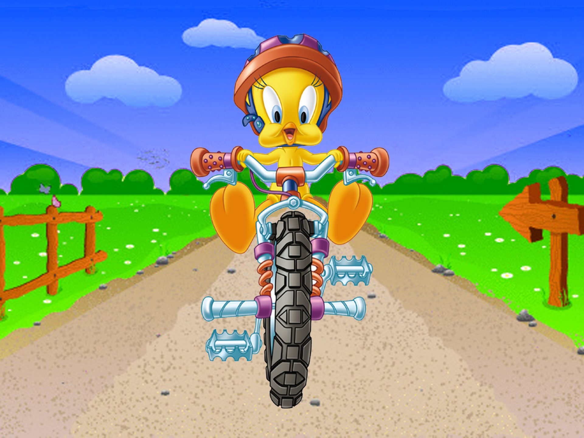 Tweety Riding A Bike - HD Wallpaper 