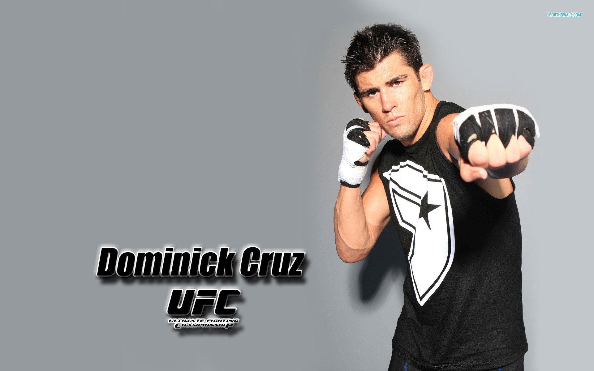 Dominick Cruz - HD Wallpaper 