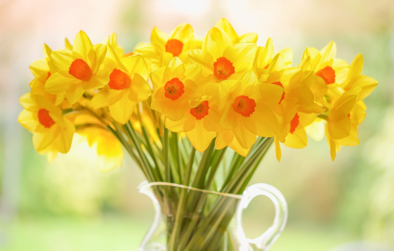 Photo Wallpaper Bouquet, Pitcher, Yellow, Daffodils - Нарциссы В Вазе - HD Wallpaper 