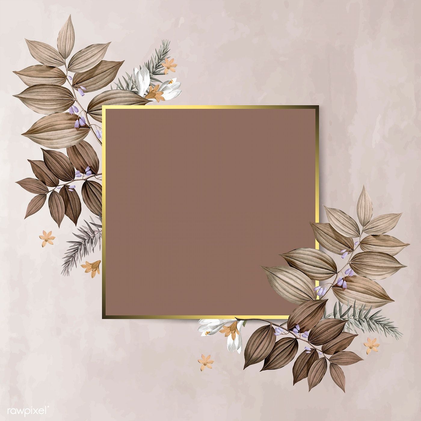Brown Flower Frame Vector 1400x1400 Wallpaper teahub.io