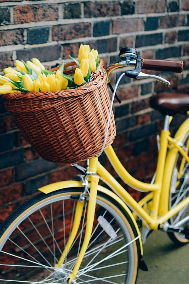 Flowers On A Bike - HD Wallpaper 