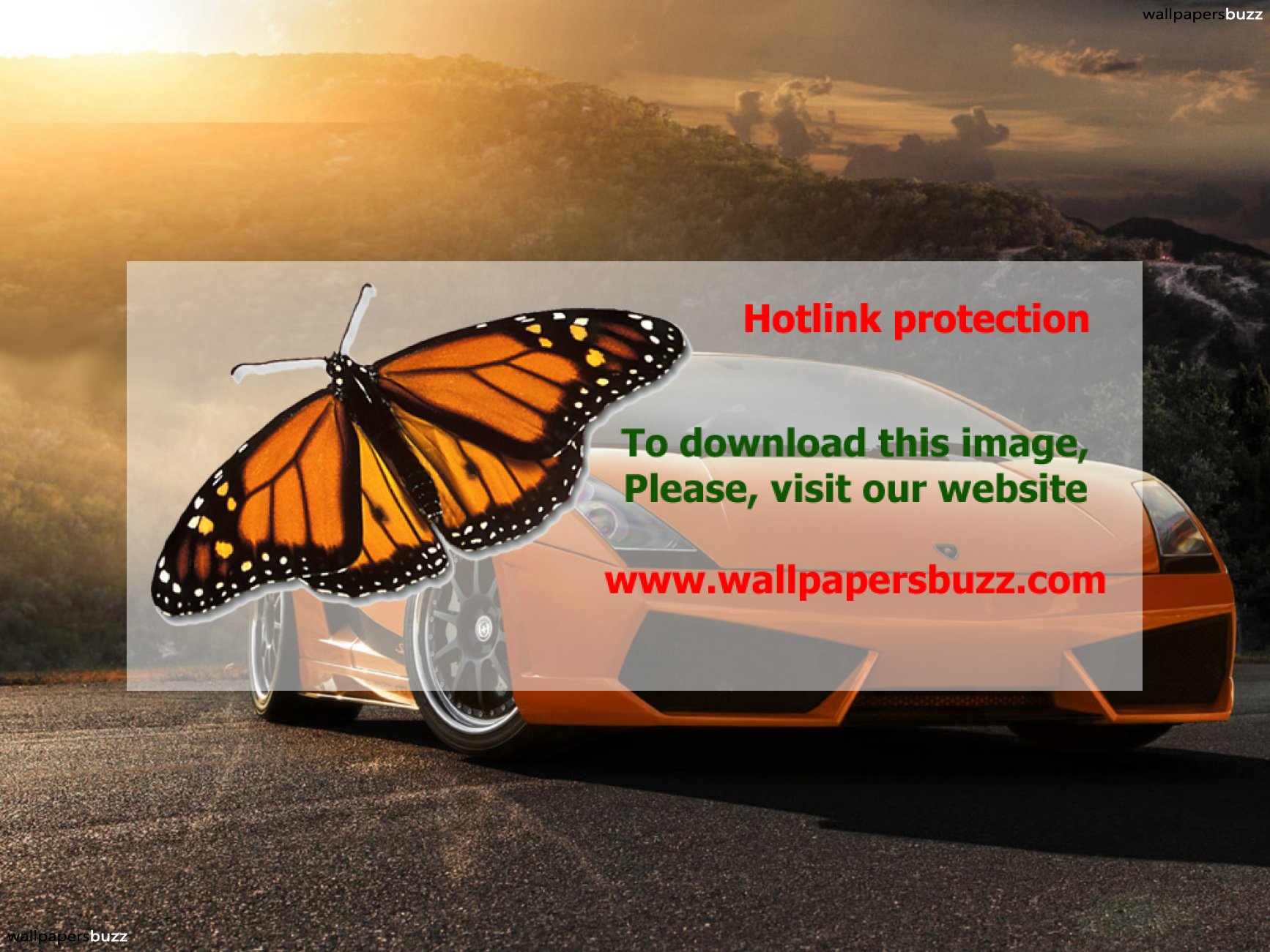 Lamborghini Gallardo - HD Wallpaper 