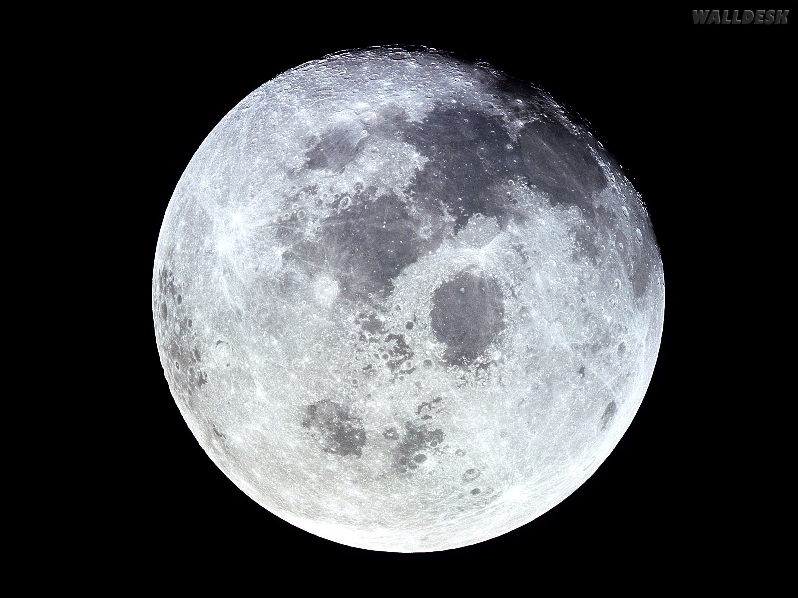 Uma Incrível Lua Wallpaper - Did Neil Armstrong Land On The Moon - HD Wallpaper 