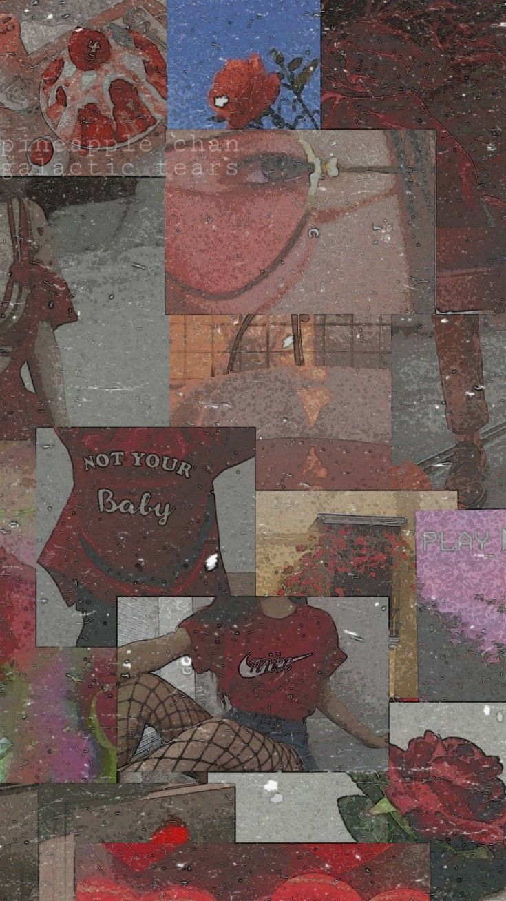 Garden Roses - HD Wallpaper 