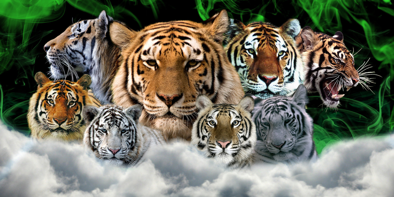 Tiger Wallpaper For Desktop - Tiger - HD Wallpaper 