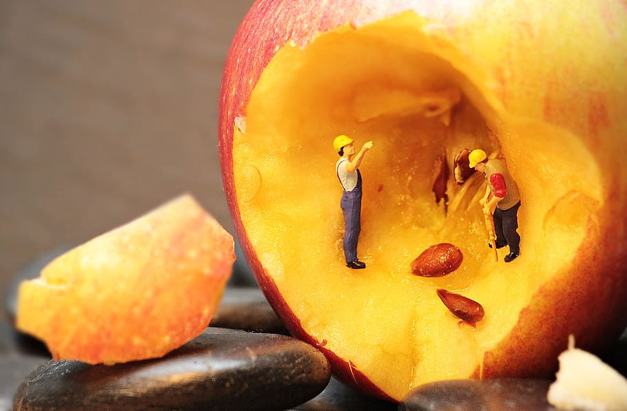 Red Apple With Men Figures, Refurbishment, Apple Cores, - Miniature Background - HD Wallpaper 