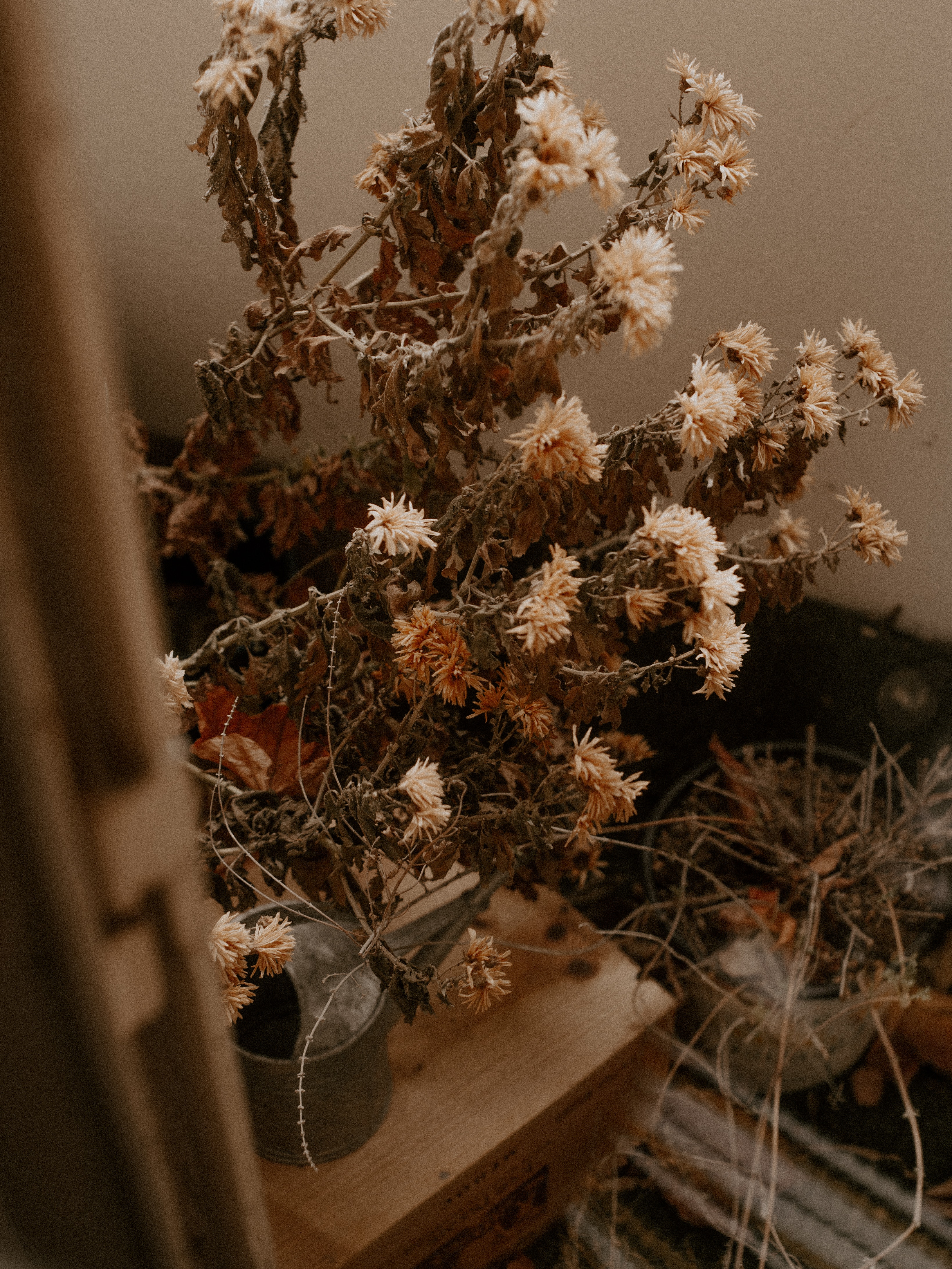 Brown Flower Wallpaper - HD Wallpaper 