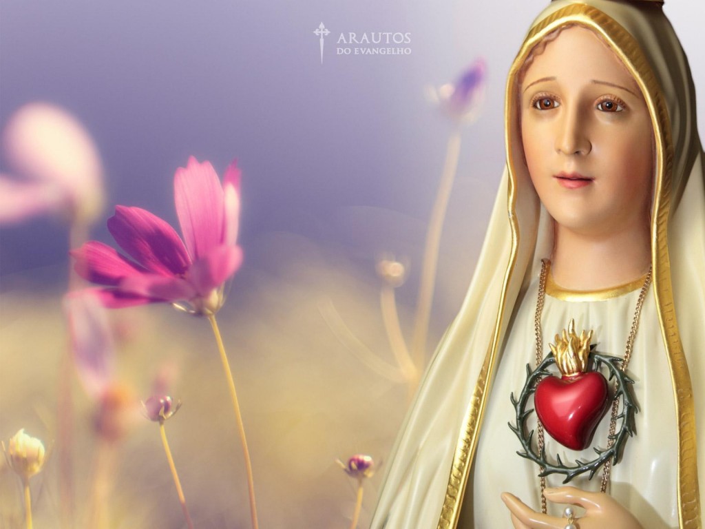 Beautiful Lilies Wallpaper Soft - HD Wallpaper 