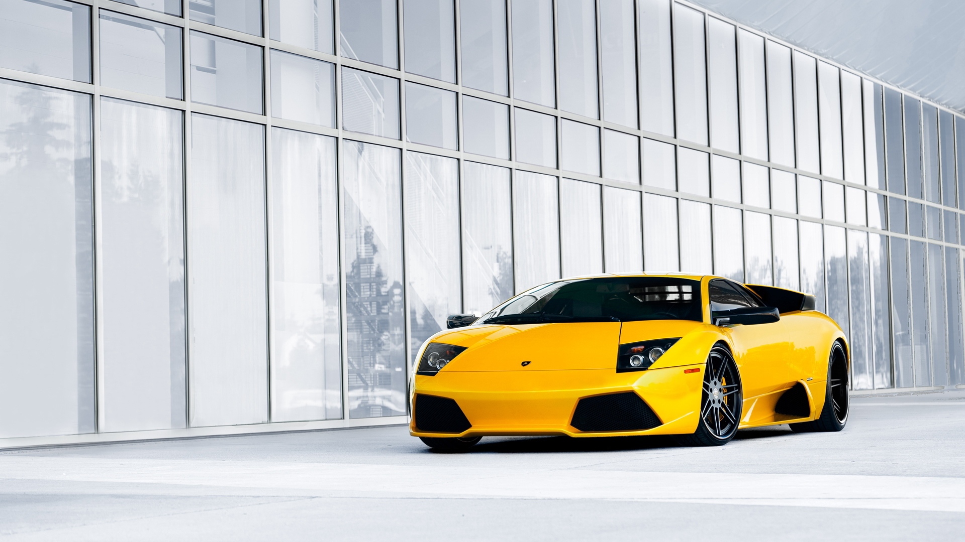 Wallpaper Lamborghini, Supercar, Yellow, Murselago - Yellow Murcielago - HD Wallpaper 