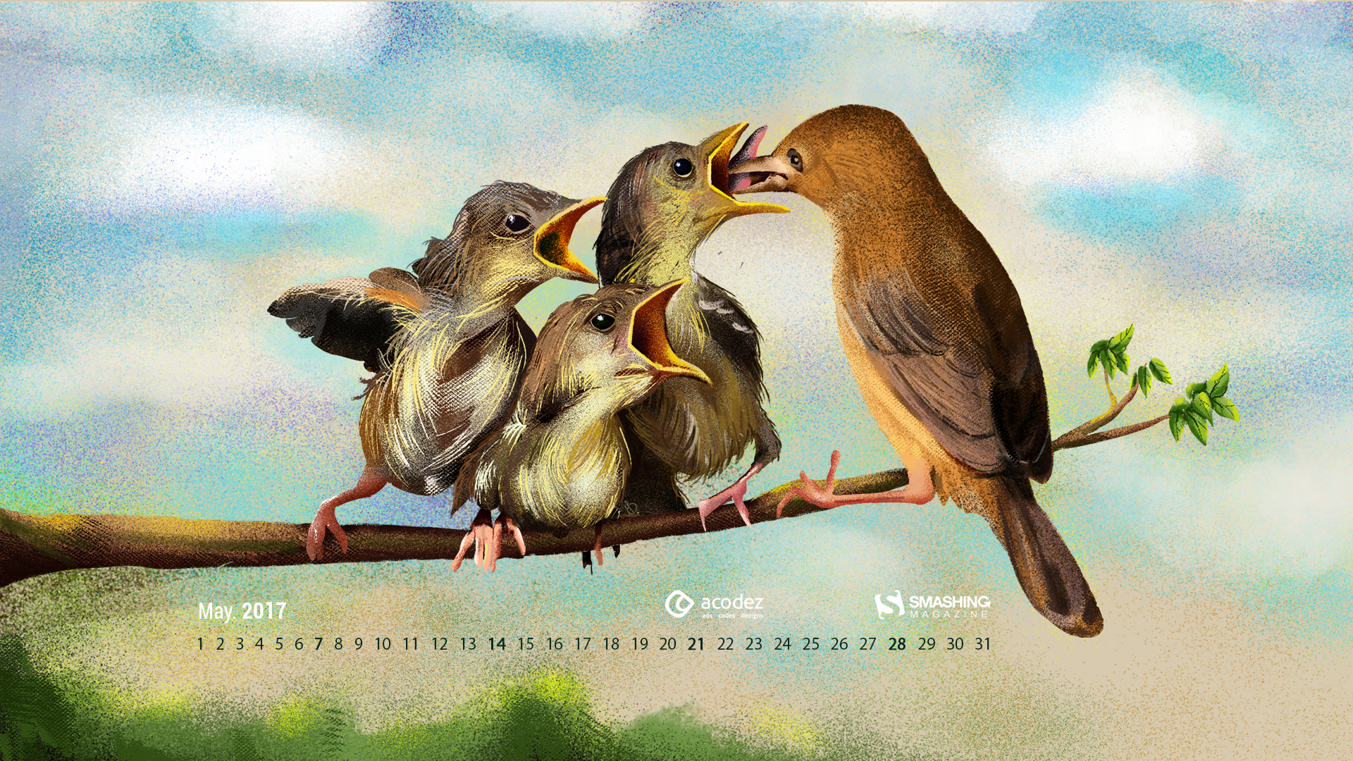 Finest Background Wallpaper Of Fruites - HD Wallpaper 