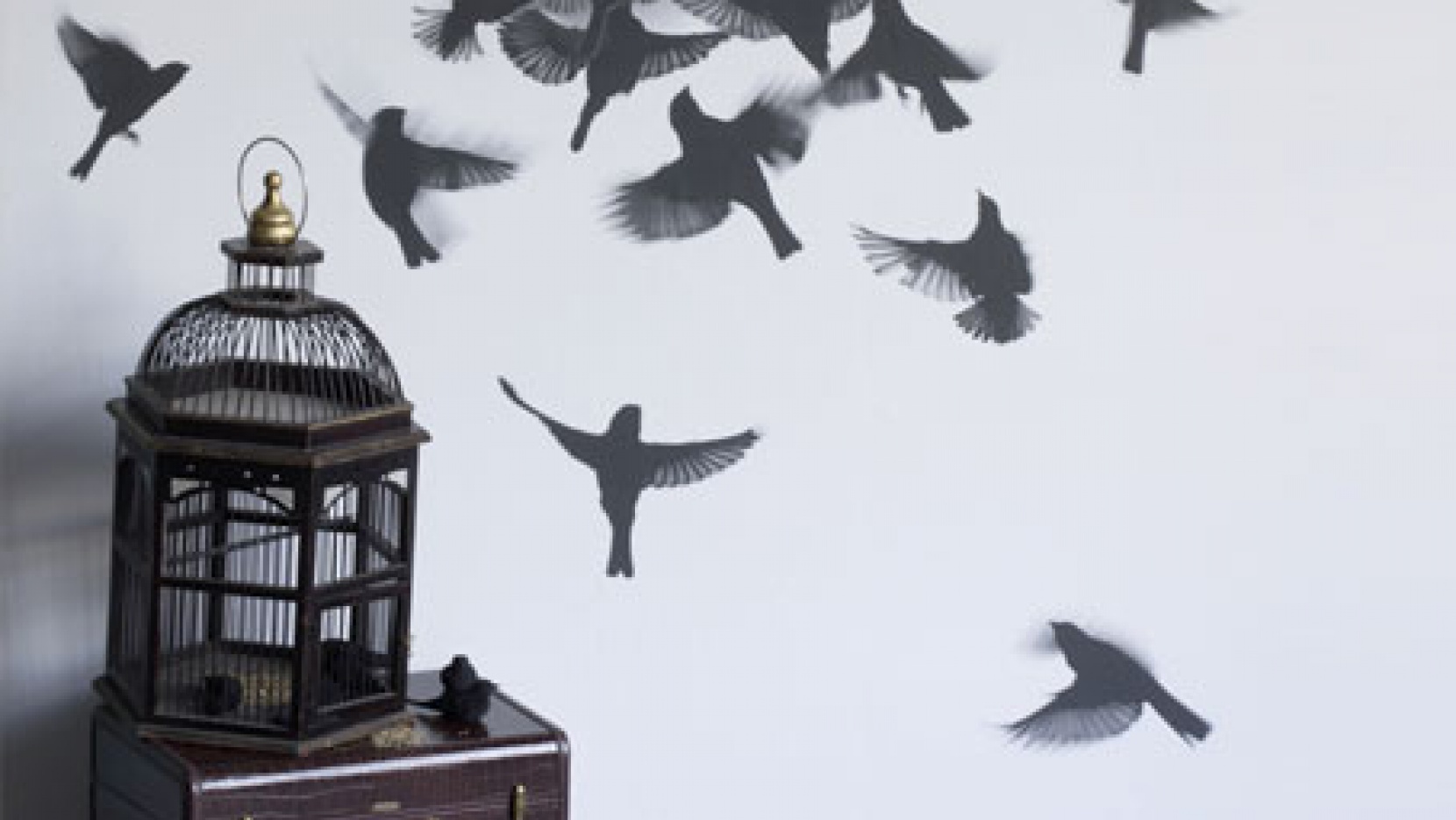 The Lazerian Jewelry Creatures - Trove Wallpaper Bird - HD Wallpaper 