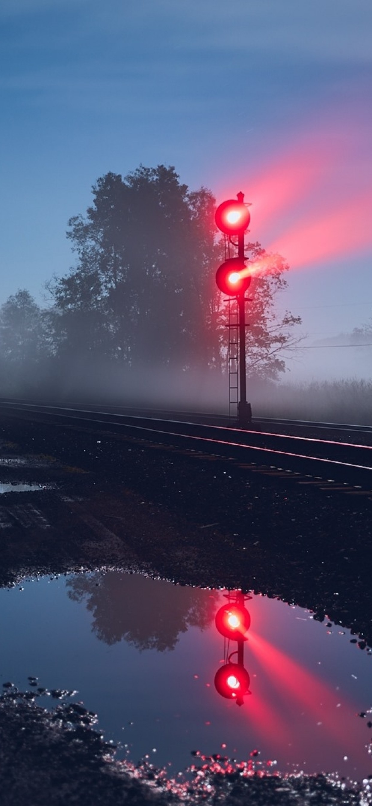 Traffic Light, Raildway, Night, Trees - Phenomenon Of Red Light In Traffic Light Reflection - HD Wallpaper 