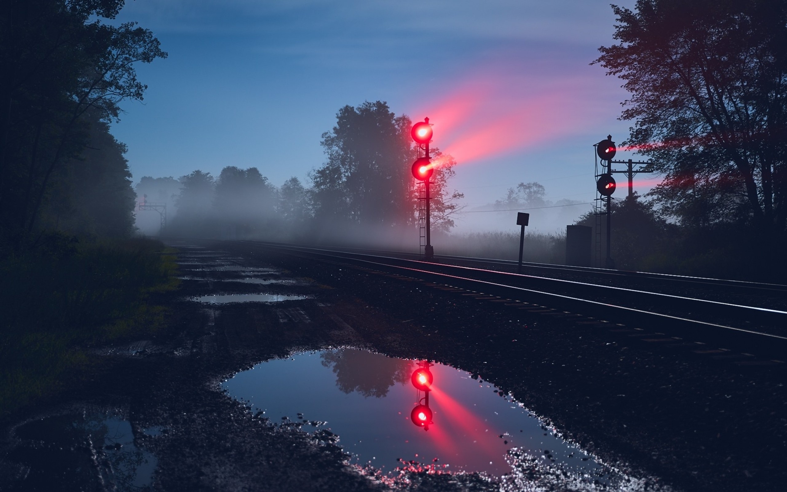 Traffic Light, Raildway, Night, Trees - Обои Ночь - HD Wallpaper 