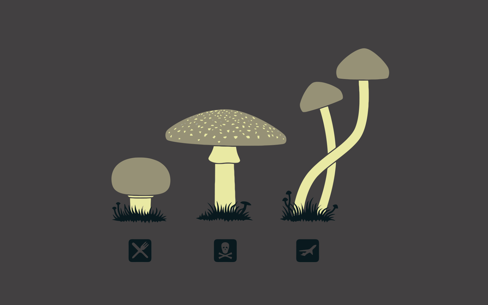 Papel De Parede Engracado - Hd Shrooms - HD Wallpaper 