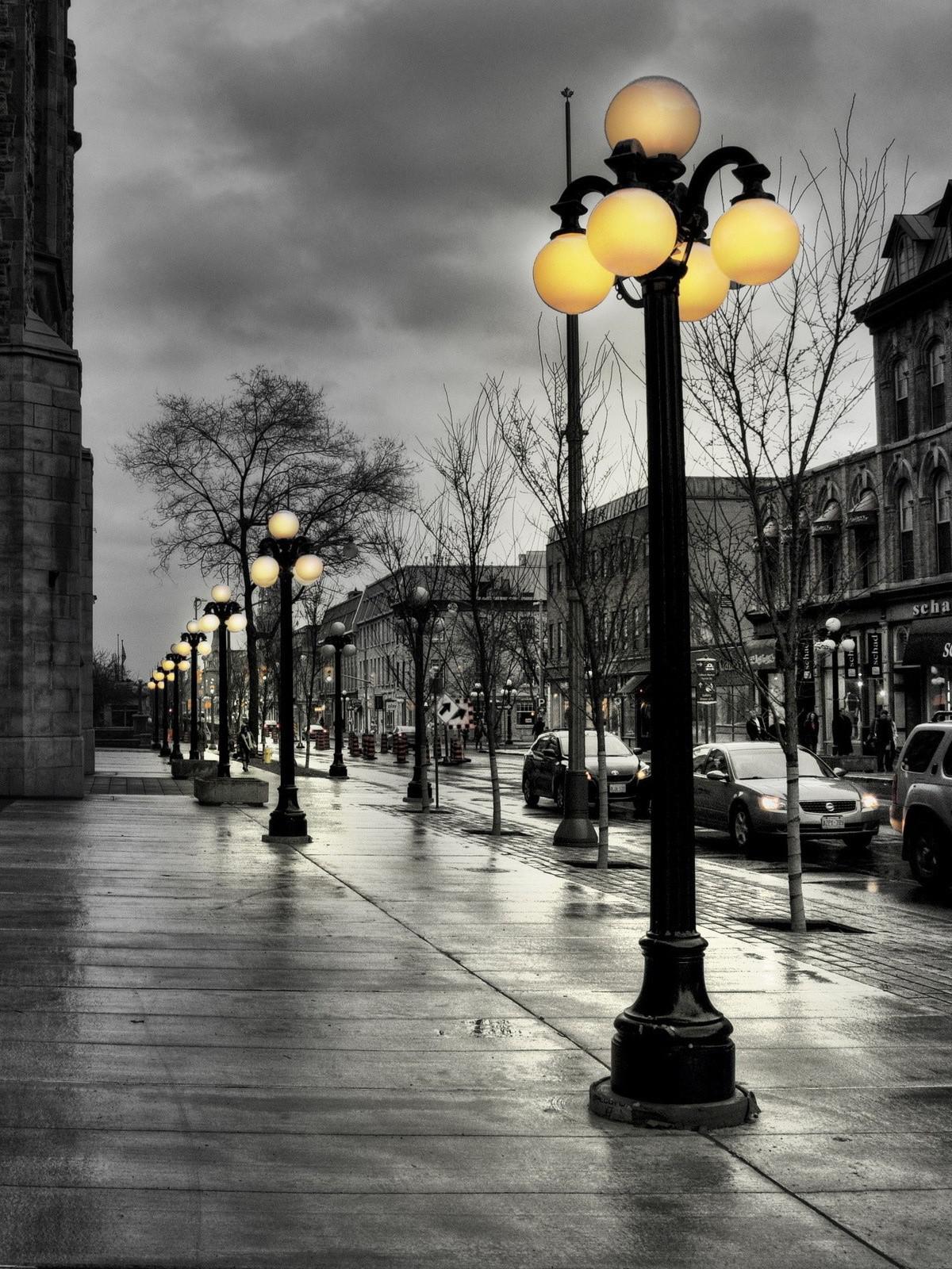 Wolf Cartoon Background Seamless Wallpaper Preto E - Black And White Lantern - HD Wallpaper 