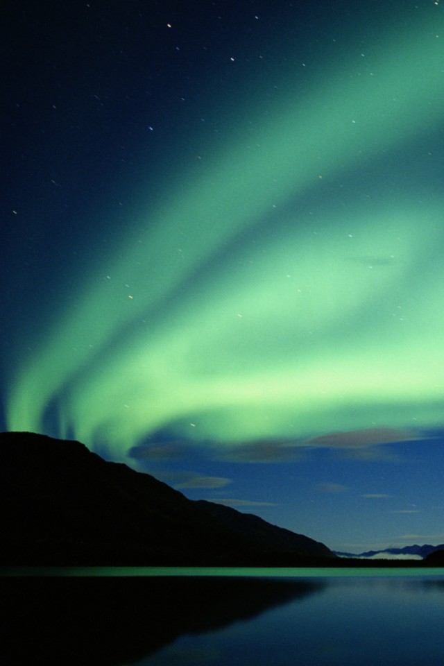 Wallpaper - HD Wallpaper 