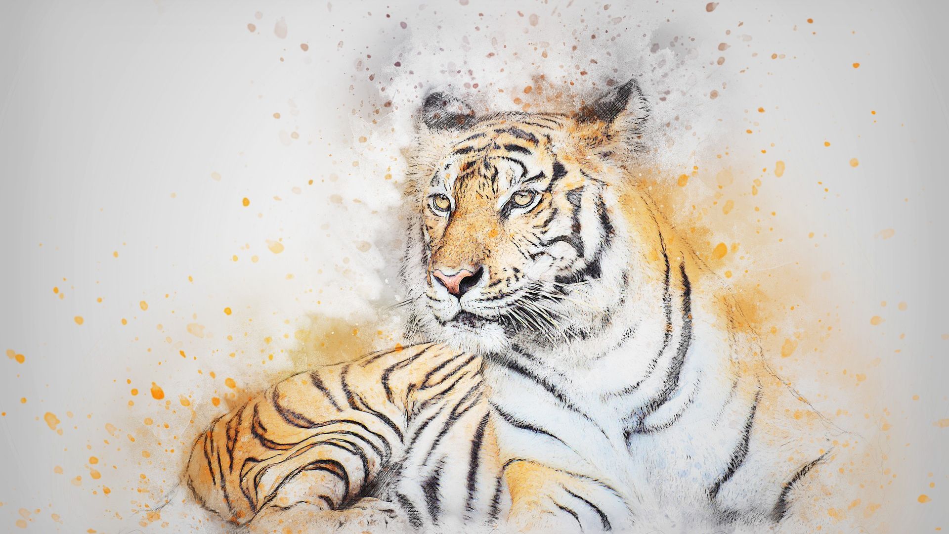 Tiger Light Background - Tiger Background - HD Wallpaper 