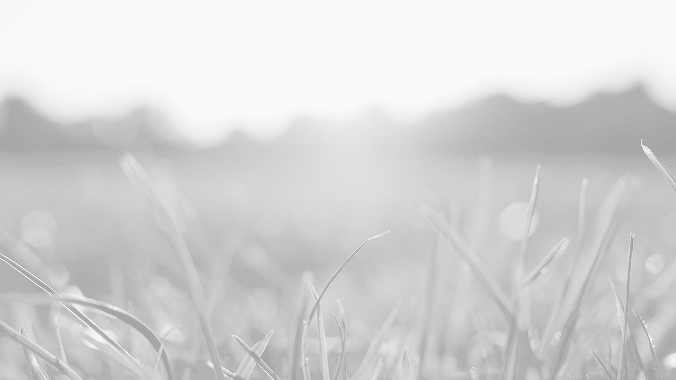 Monochrome - HD Wallpaper 