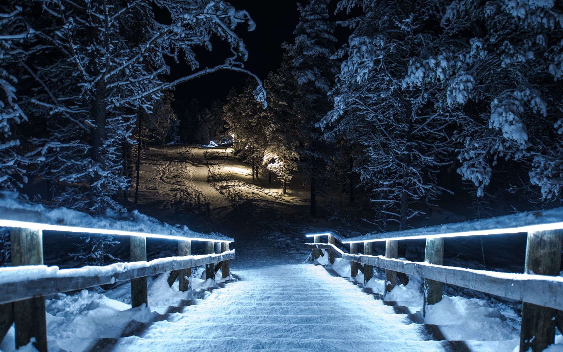Winter Night - HD Wallpaper 