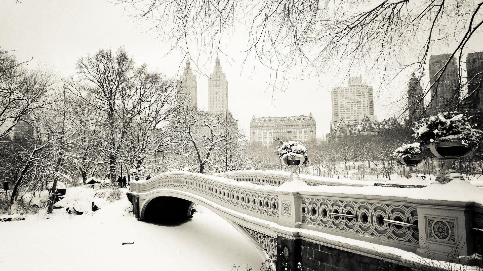 World Winter Snow New York City New York Usa Central - New York Winter Wallpaper 4k - HD Wallpaper 