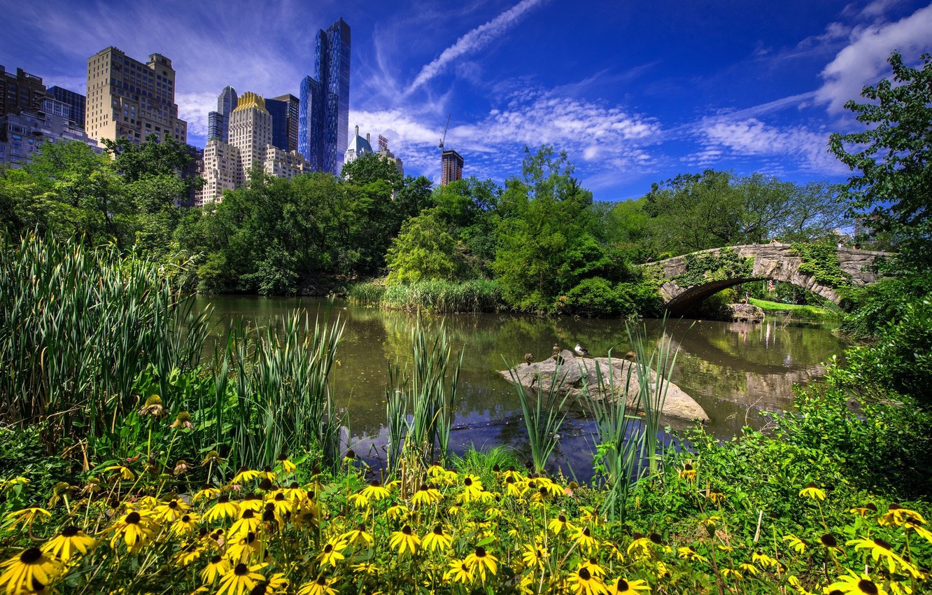 Photo Wallpaper New York City, Gapstow Bridge In Central - Pond - HD Wallpaper 