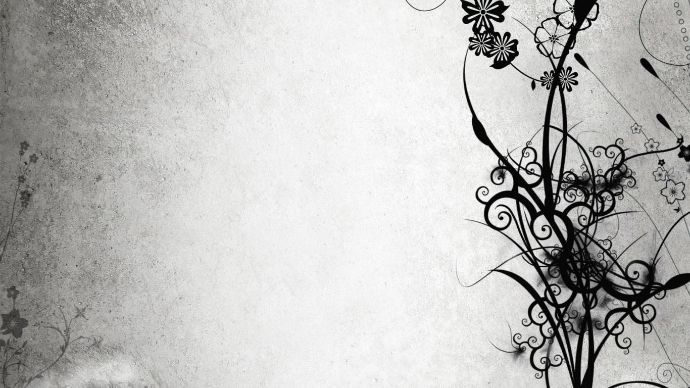 Wallpaper - HD Wallpaper 