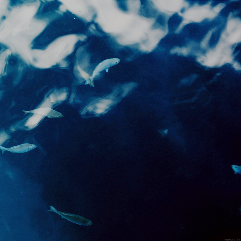 Bahai Quotes On Love And Friendship - HD Wallpaper 