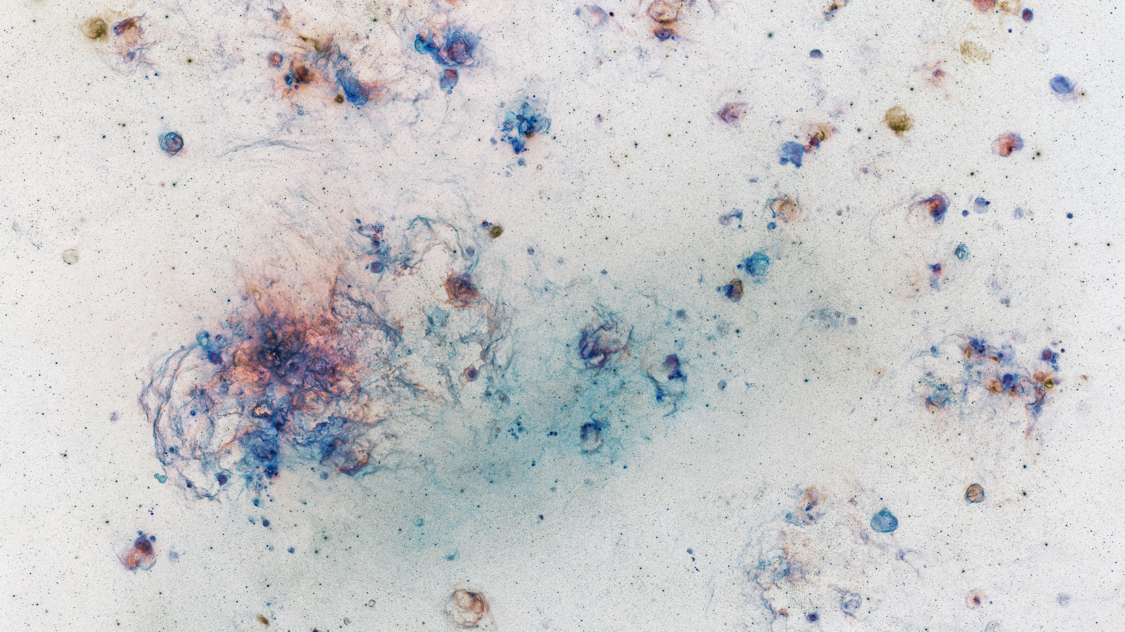 Inverted Color Wallpaper - HD Wallpaper 