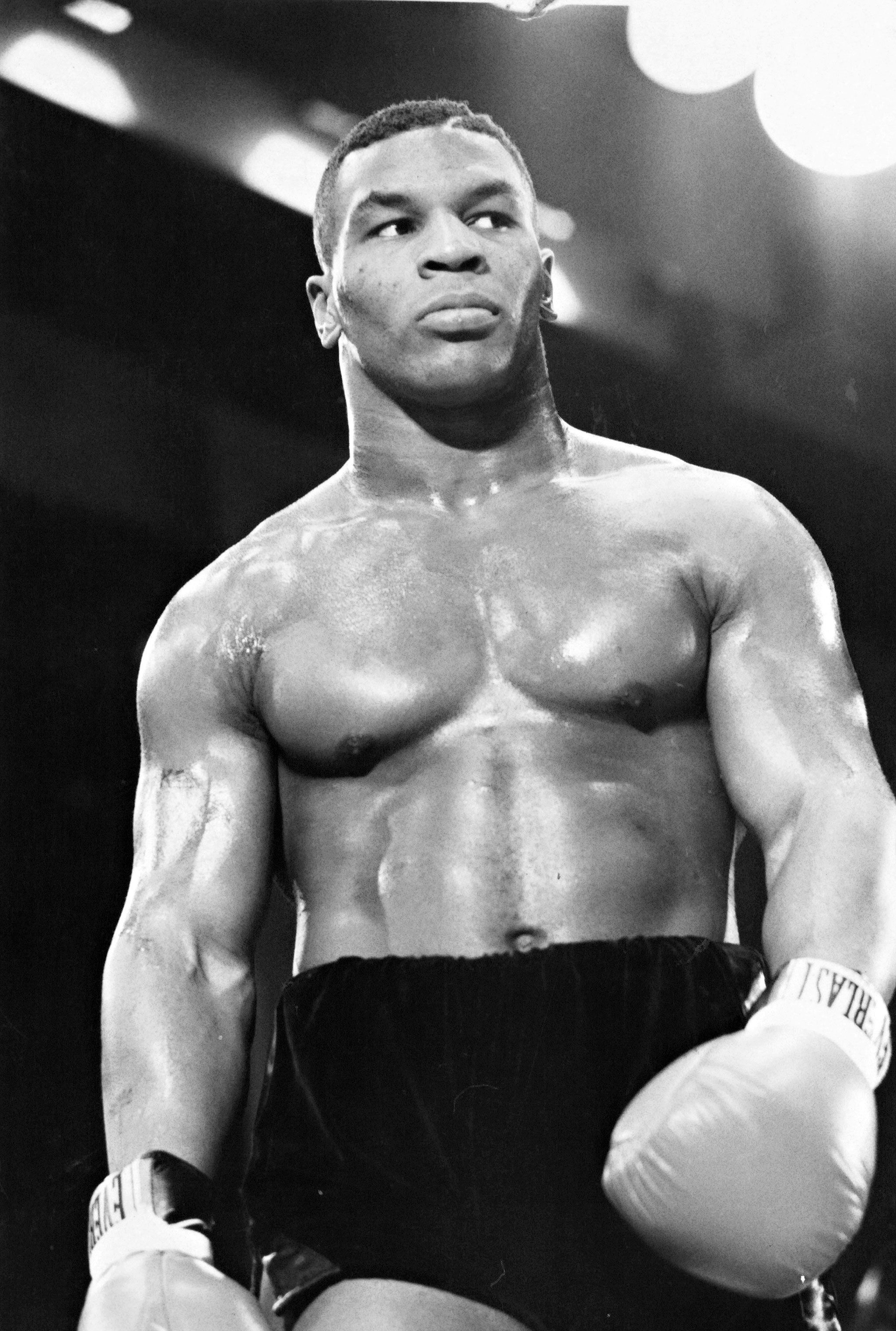 Data Src Mike Tyson Wallpaper Cell Phone - Mike Tyson Wallpaper Iphone - HD Wallpaper 
