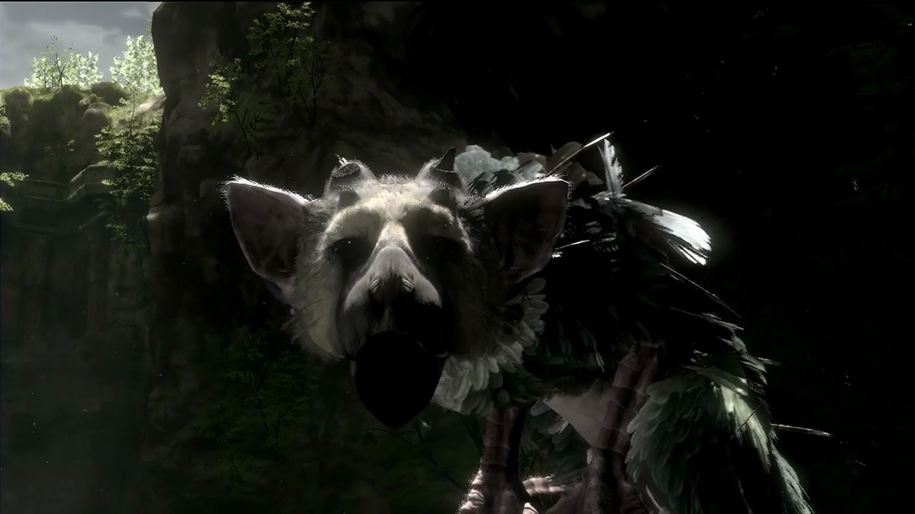 The Last Guardian Wallpaper - Last Guardian - HD Wallpaper 