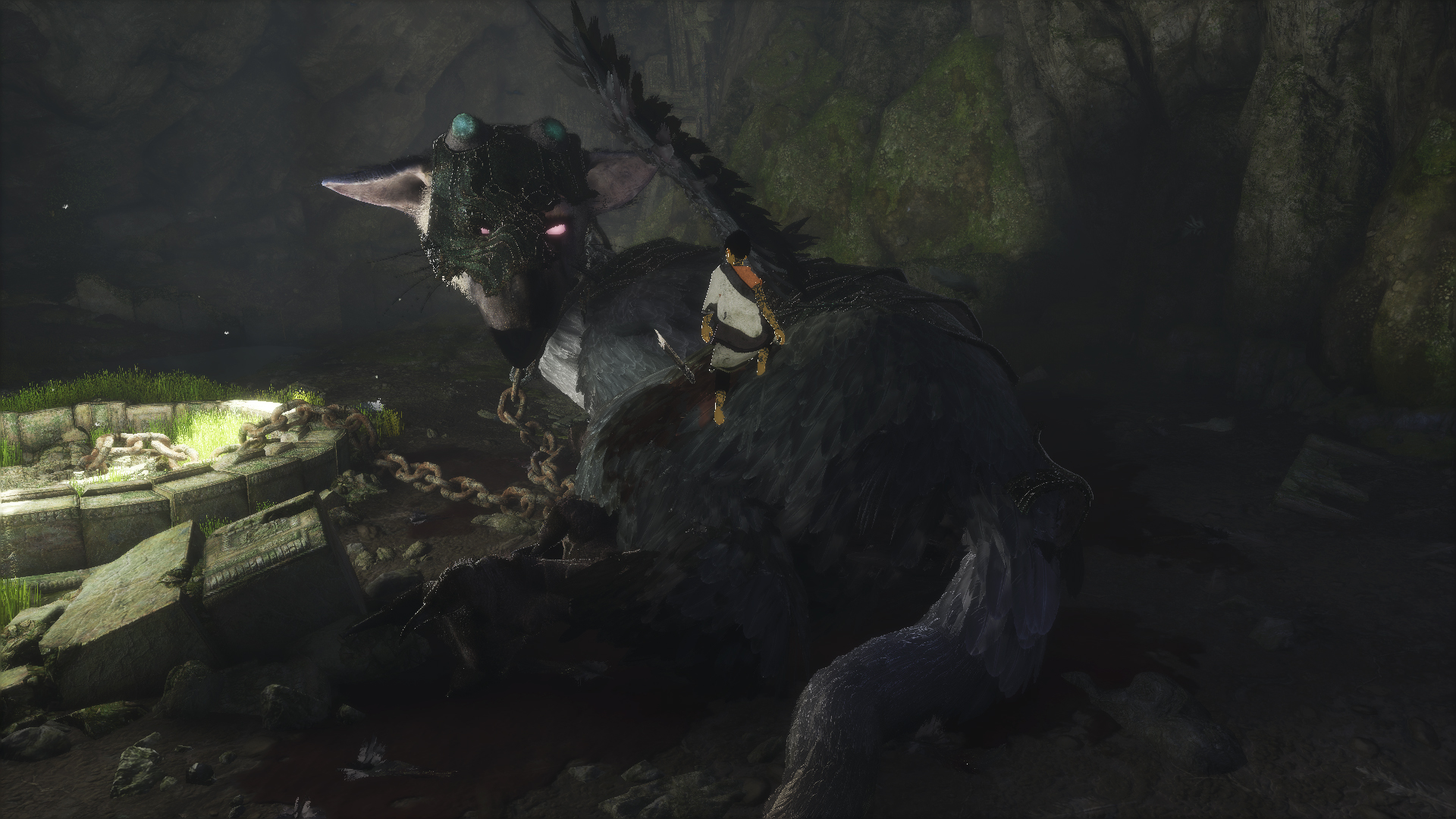 Last Guardian Trico Eyes - HD Wallpaper 