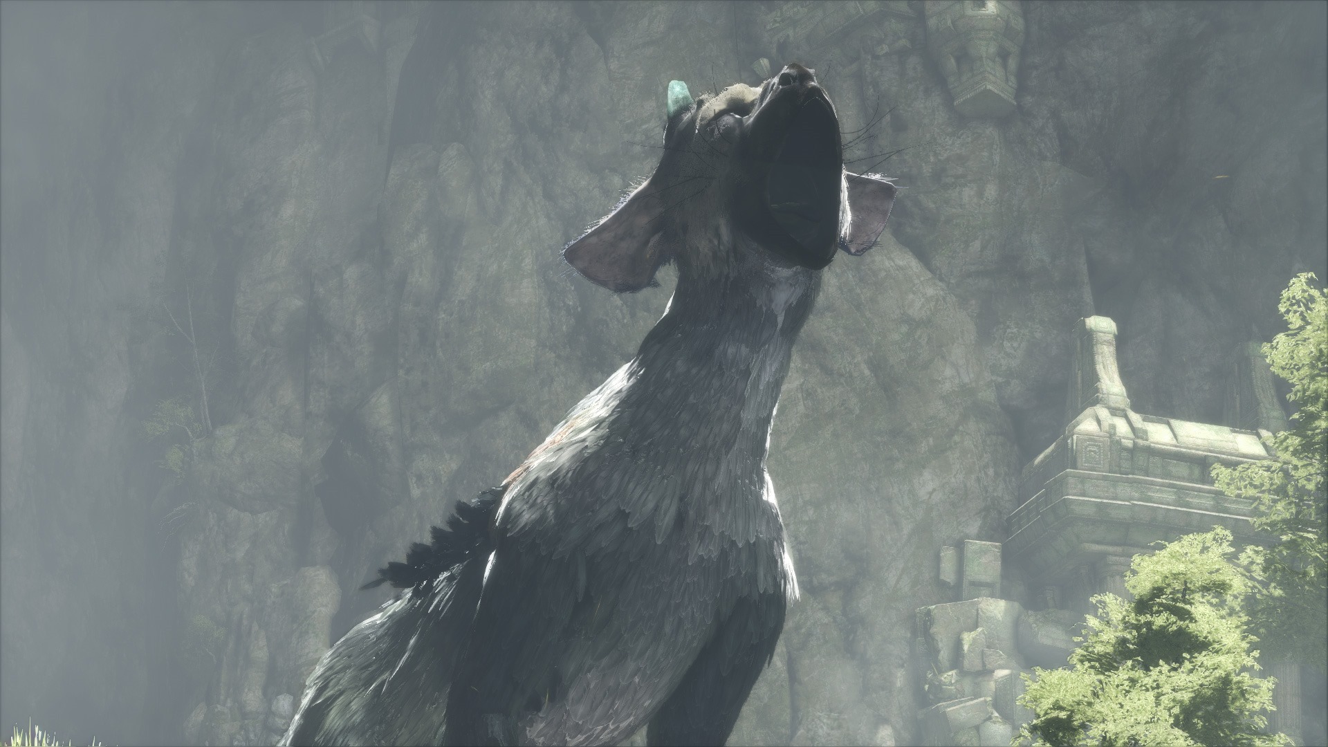 Last Guardian Trico Roar - HD Wallpaper 